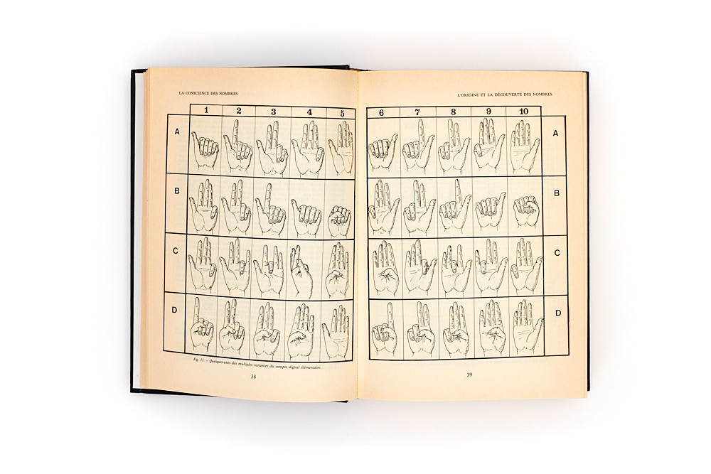 pp.38-39 : dénombrer avec ses mains.