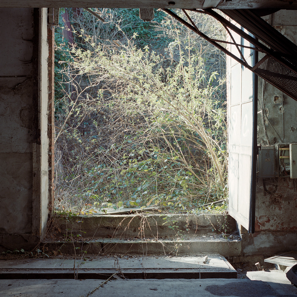 Photographie des espaces abandonnés de l’usine Pebeco 16/22